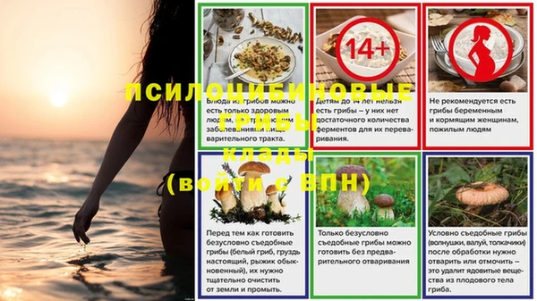 гашик Баксан