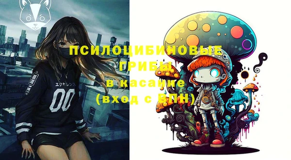 гашик Баксан