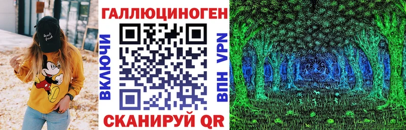 магазин    Северобайкальск  Псилоцибиновые грибы Psilocybe 